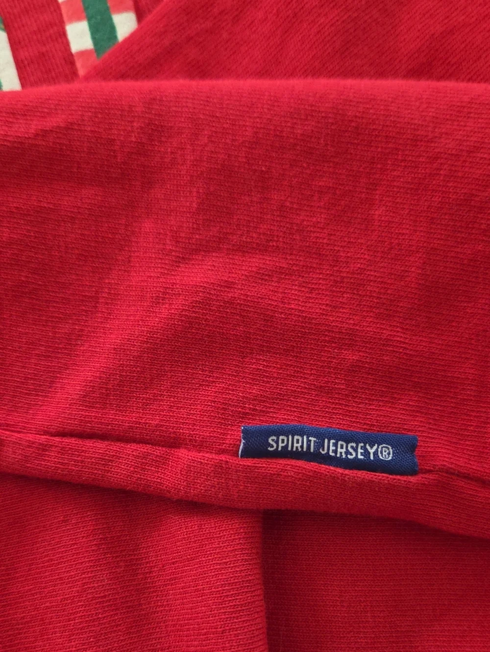 SPIRIT JERSEY - Disney Red Holiday Graphic Pullover Shirt